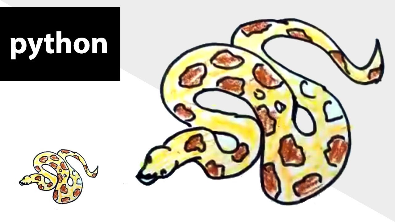 Python Drawings