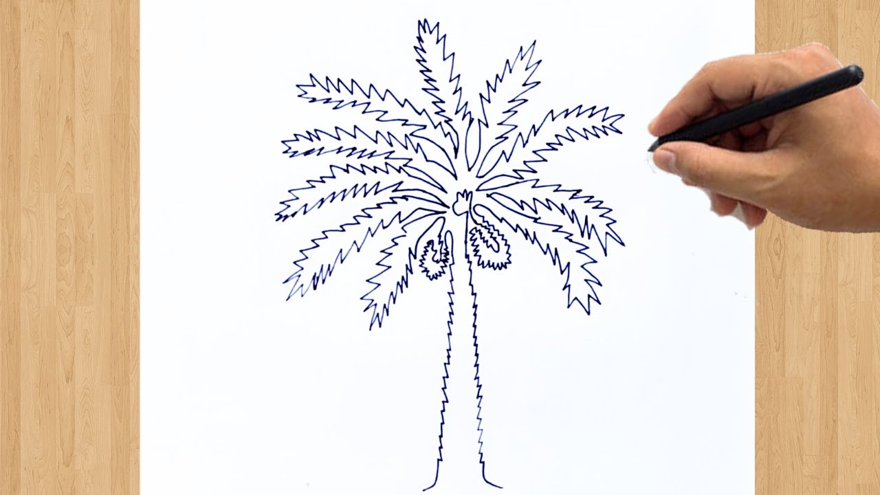 How to Draw a Date Palm Tree Drawing Easy Step by Step - YouTube