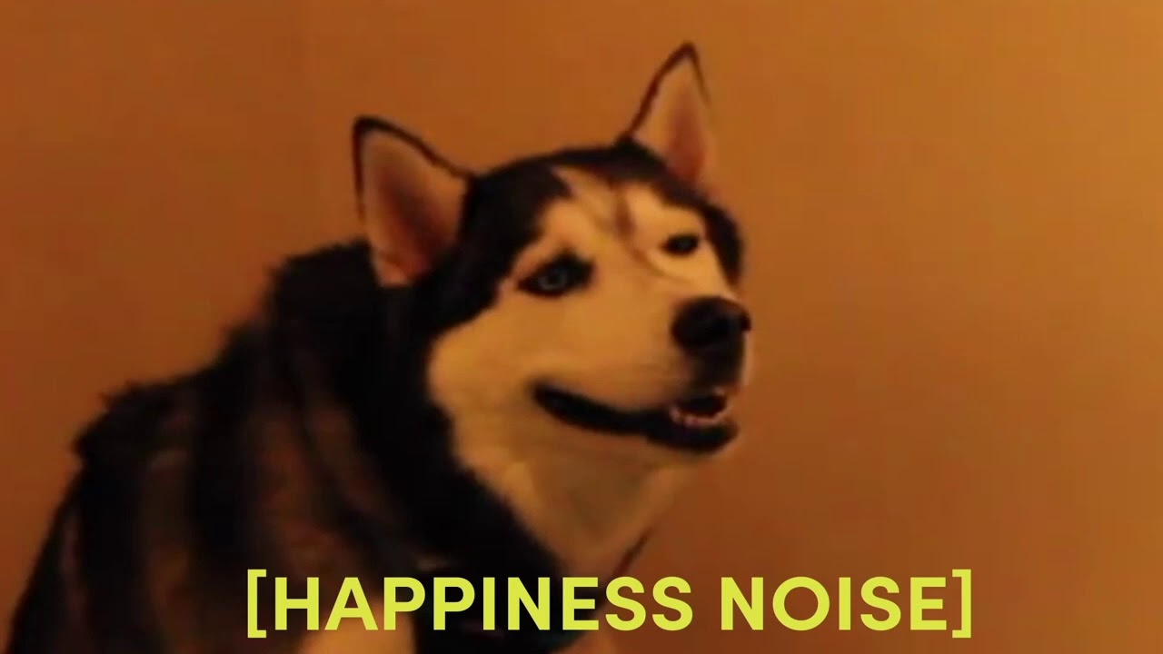 I listed Happiness Noise Meme as an NFT - YouTube