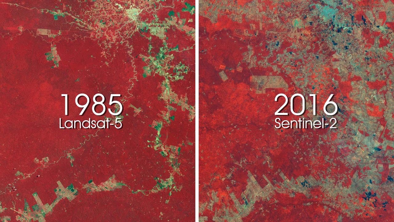 Esa Shows 30 Years Of Deforestation In Amazon Rainforest Youtube