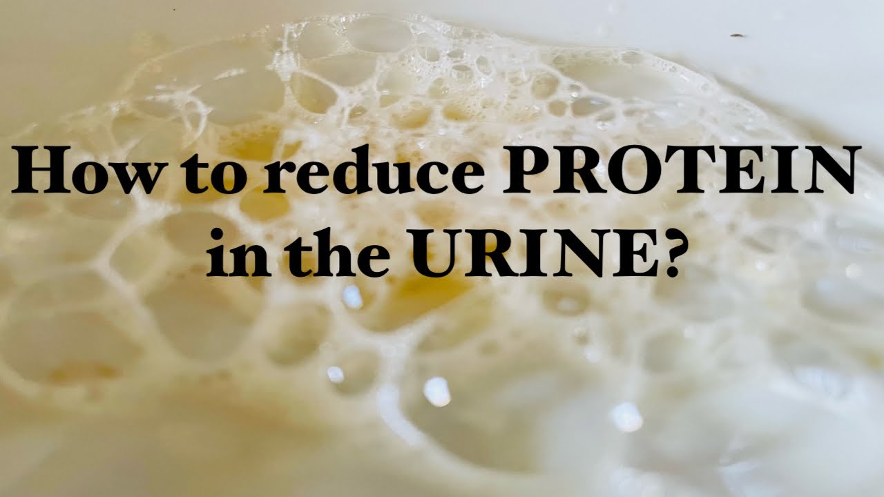 KIDNEY DIET | How to Reduce Protein in the Urine ? - YouTube