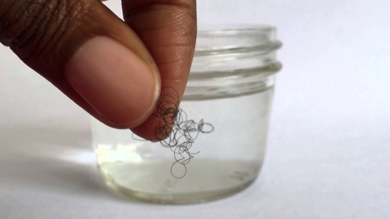 my-hair-porosity-test-youtube