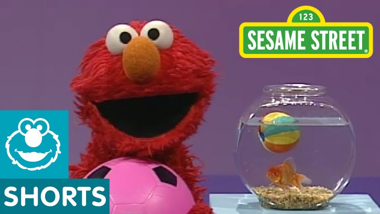 Sesame Street: Play Ball! | Elmo's World - YouTube