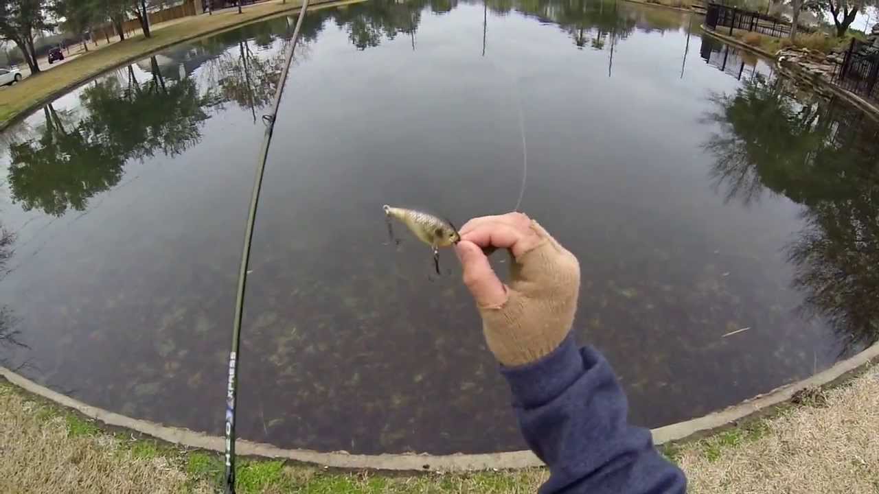 Grand Lakes Bass Fishing