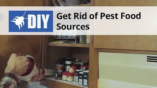 Get Rid of Roach Food Sources