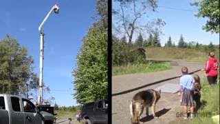 Watch as a raw egg makes a 68-foot drop from a bucket truck onto a Greatmats 1-5/8 inch thick Grappling MMA Mats and bounces! The raw egg not only survived the test, but bounced back an estimated 16 feet into the air. 
Tests were run incrementally starting at 10 feet and moving up and additional 10 feet at a time until maxing out the reach of the bucket truck.

Greatmats Grappling Mats are designed for Brazilian Jiu Jitsu, Judo, MMA and other ground fighting martial arts disciplines. The feature a four foot critical fall height rating, reducing the risk of severe head injuries from takedowns, falls and throws. 

These mats also prevent floor burn with their specially designed EVA foam tatami texture.

https://www.greatmats.com/mats/mma-mats.php?utm_source=youtube&utm_medium=demovideo&utm_campaign=eggMMAmat
#EggDropTest
#EggDropChallenge
#GreatMartialArtsFloor