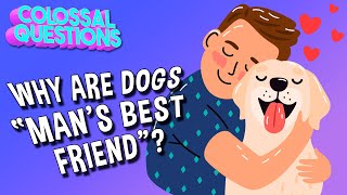 Why Are Dogs Mans Best Friend? | COLOSSAL QUESTIONS