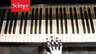 Listen to this piano-playing robot hit all the right notes