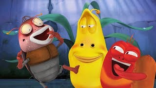 larva a beautiful night cartoons for children larva official