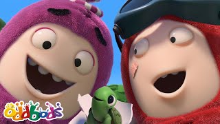 turtley cute oddbods full episode funny cartoons for kids