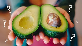 Why Avocados Still Exist