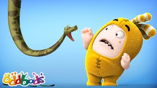 bubbles apple snack oddbods full episode funny cartoons for kids