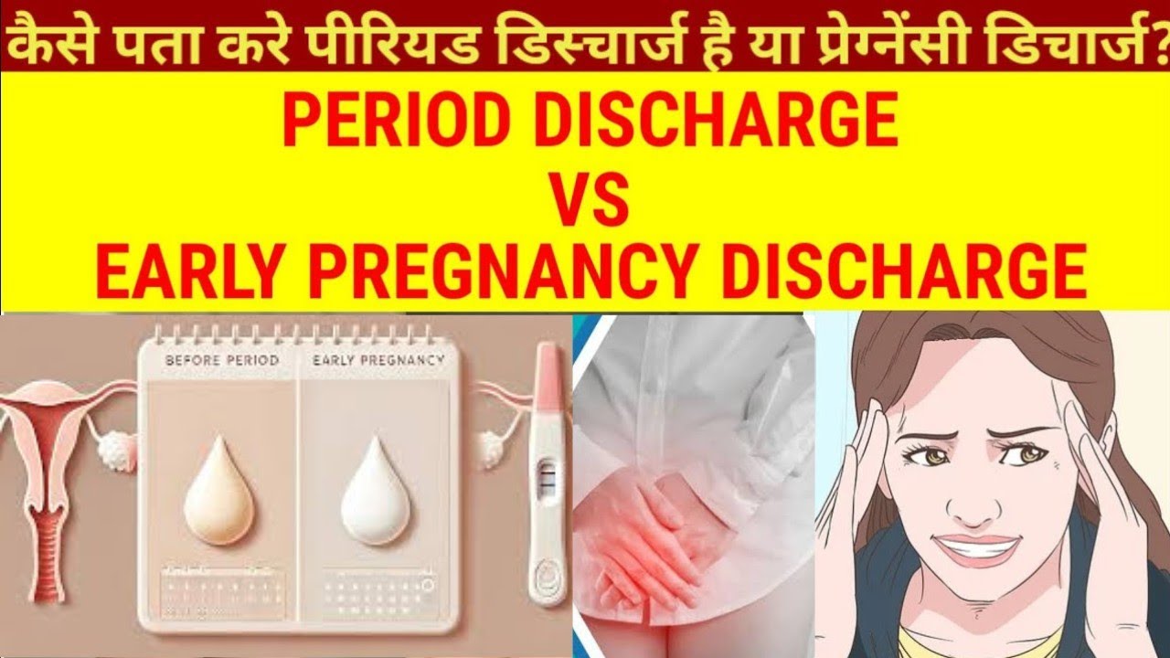 PERIOD DISCHARGE VS EARLY PREGNANCY DISCHARGE |DIFFERENCE BETWEEN ...