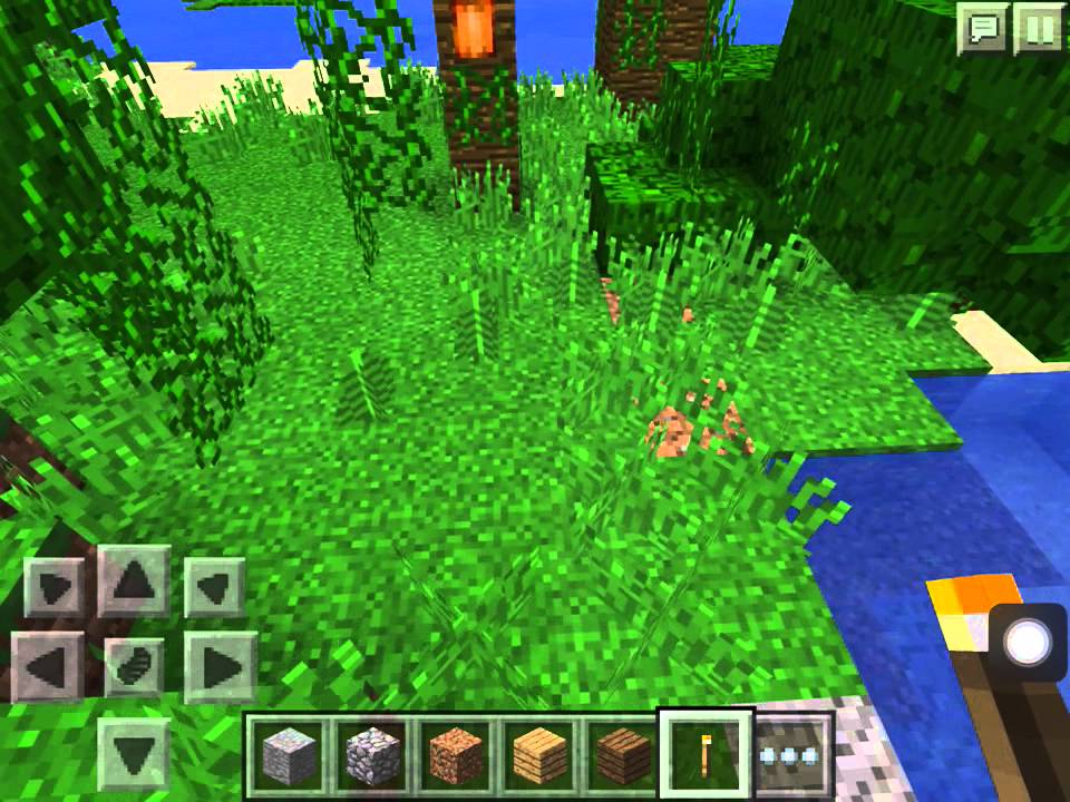 Minecraft Jungle Seed