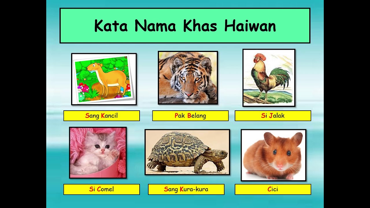 Kata Nama Khas Haiwan - Riset