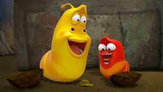 larva walnut cartoons for children larva official