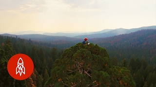 Stress Testing Giant Sequoias | That's Amazing