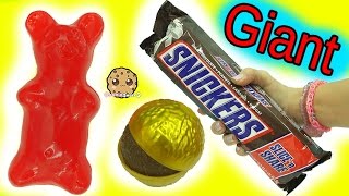 Biggest Candy Bars Ever! Giant Candy , Big Gummy Bear, Worm Plushies, Chocolate Food Haul Video