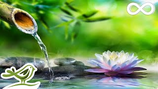 Relaxing Piano Music  Sleep Music, Water Sounds, Relaxing Music, Meditation Music