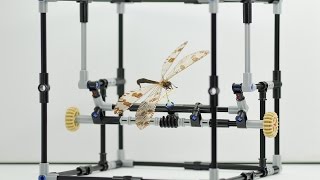 Lego insect manipulator stop motion | Natural History Museum