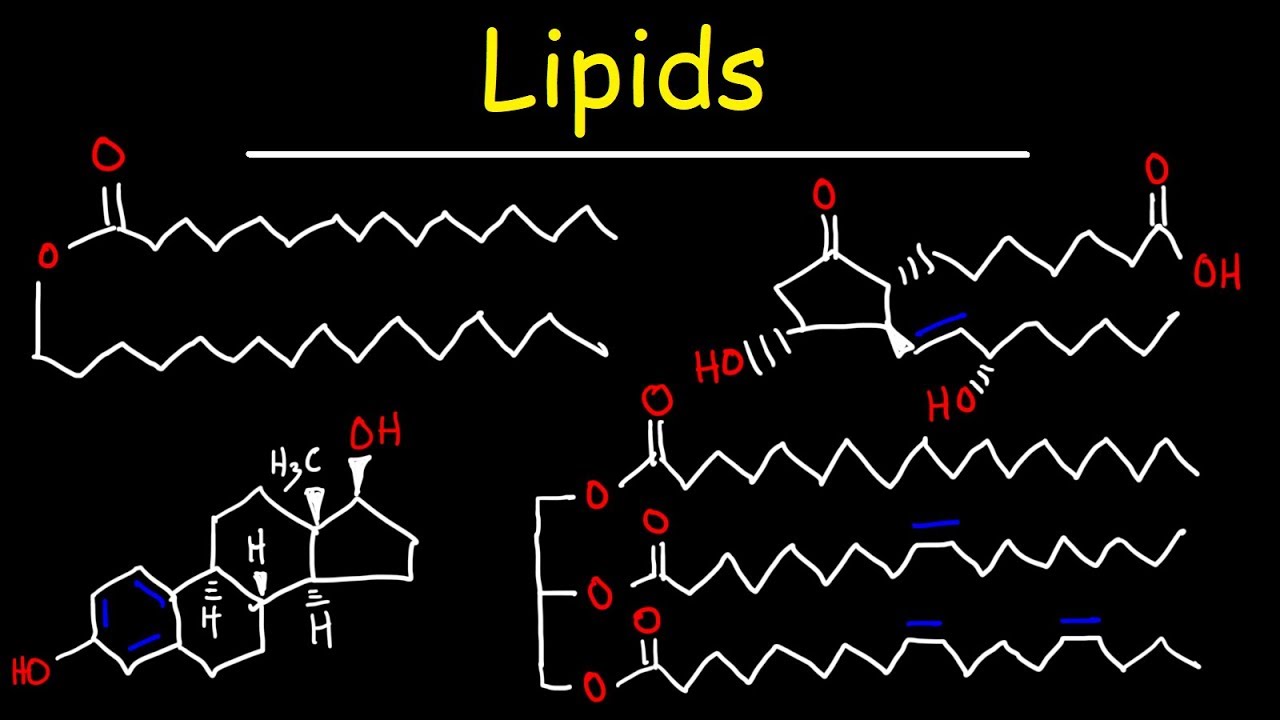 Chemical Structure Of Lipids