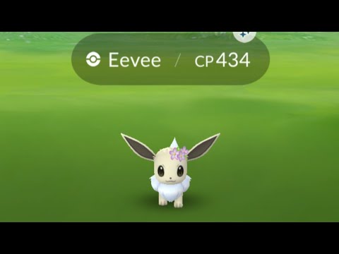 SHINY FLOWER CROWN EEVEE!!!!! NO WAY!!! Day 1! Research breakthrough ...