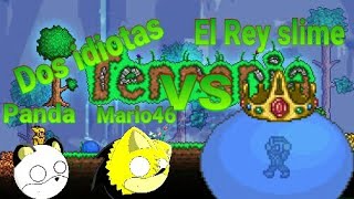 (Leer la descripción)Dos idiotas VS el rey slime Terraria online funny momments