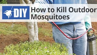 How to Get Rid of & Kill Mosquitoes in the Yard 