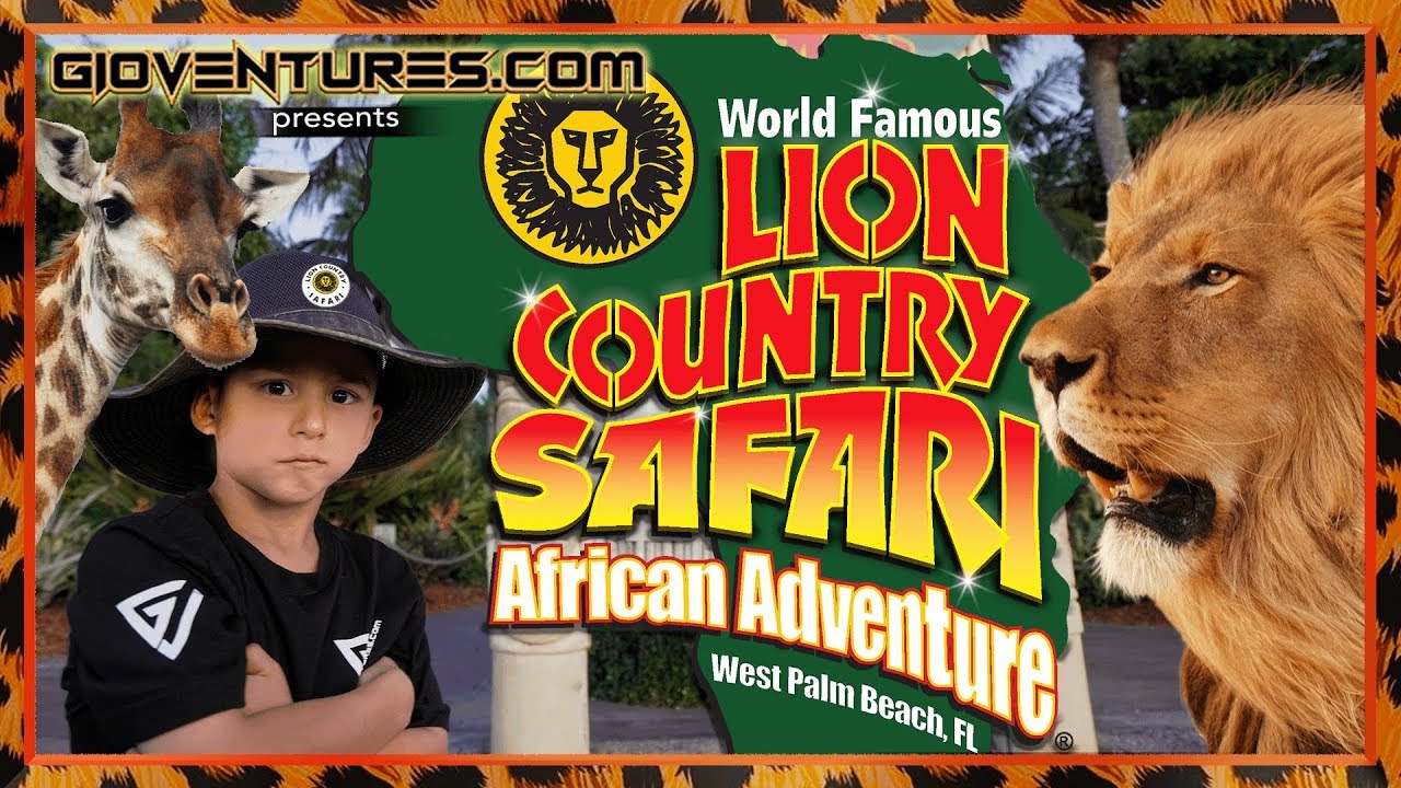 LION COUNTRY SAFARI Drive-Thru Safari - Safari World Amusement Park - YouTube