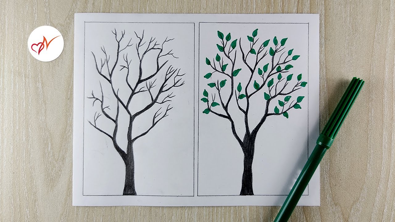 Tree without leaves VS tree with leaves drawing | How to draw two ...