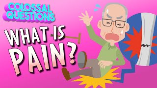 What Is Pain? | COLOSSAL QUESTIONS