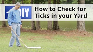 How to Check for Ticks in Your Yard