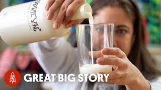 Would You Try Mongolian Fermented Horse Milk?