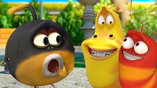 larva a new friend cartoons for children larva official