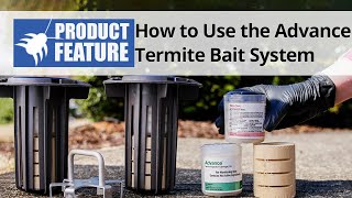 How to Use The Advance Termite Bait Station System to Prevent Termites