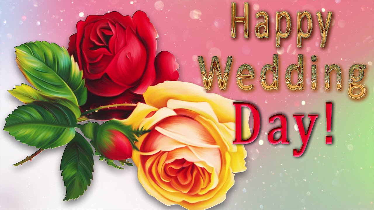  Happy Wedding Day !  4K Animation Greeting Cards - YouTube