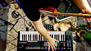 Live Looping - Multi-instrumental - Electronic Meets Organic - EDM