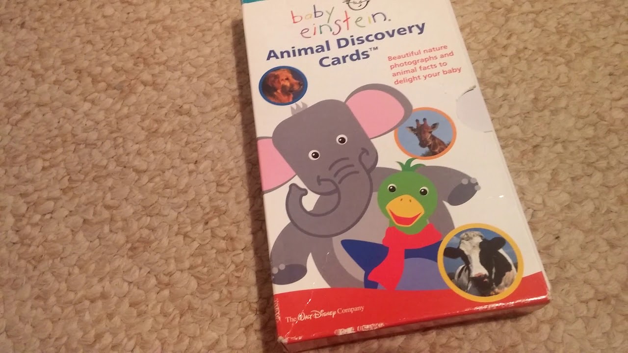 Baby Einstein Animal Discovery Cards Review (Read Description) - YouTube