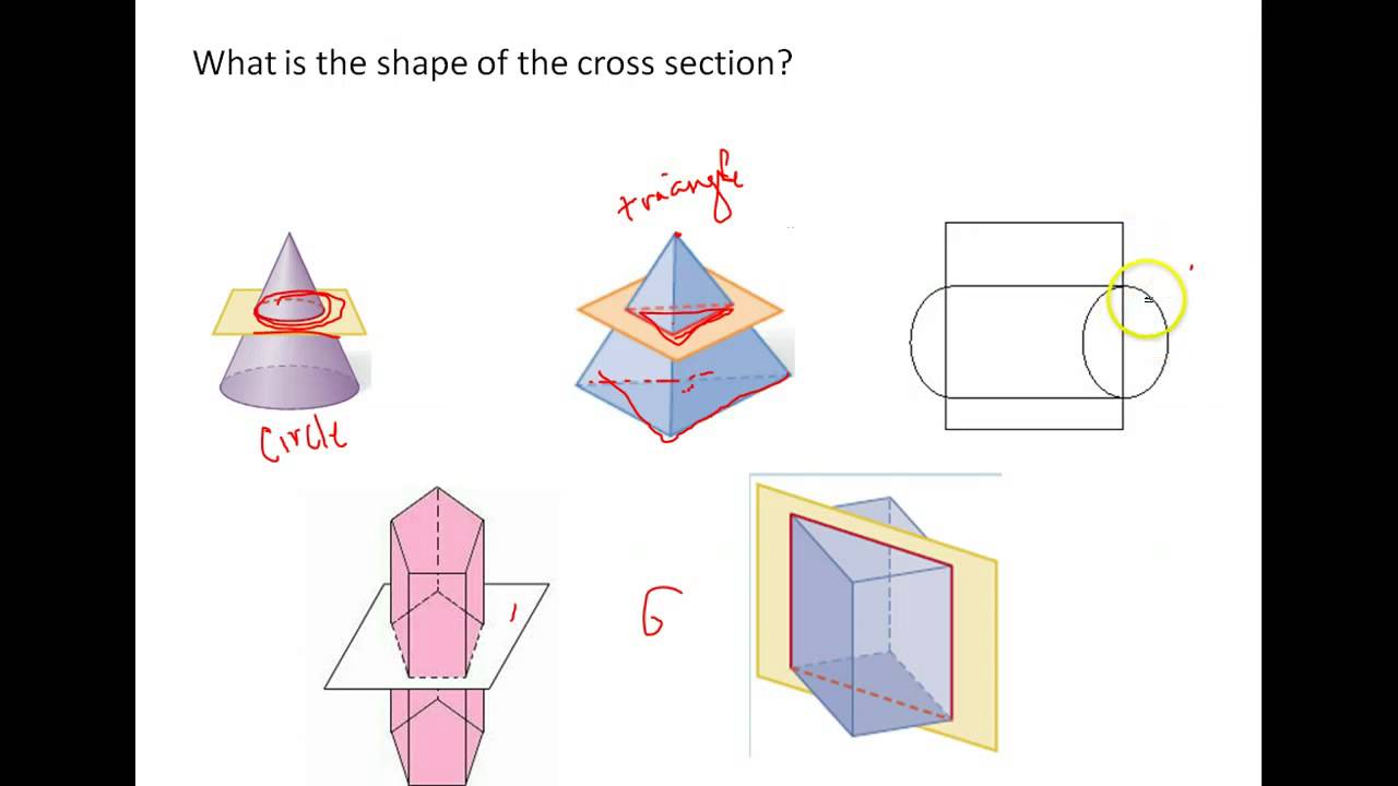 cross-section-worksheet-11th-grade