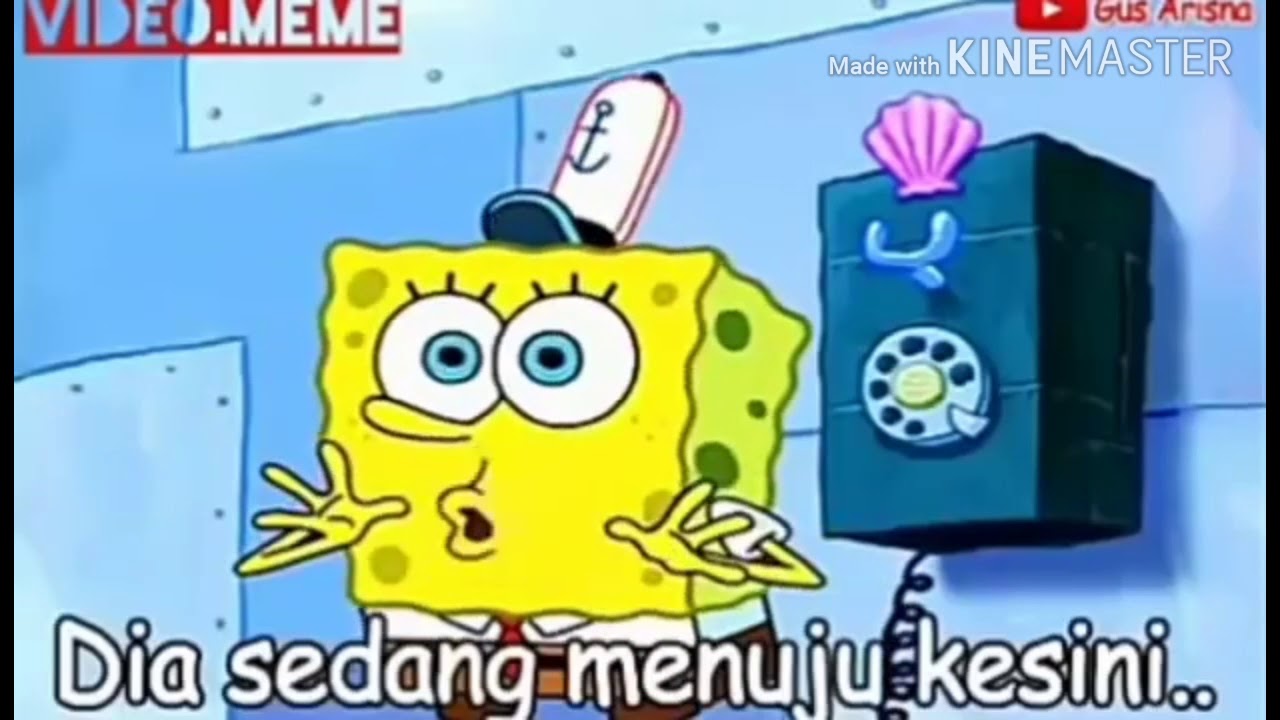 Vime Meme Versi Spongebob Buatan Gua Sendiri Vime Meme Indonesia