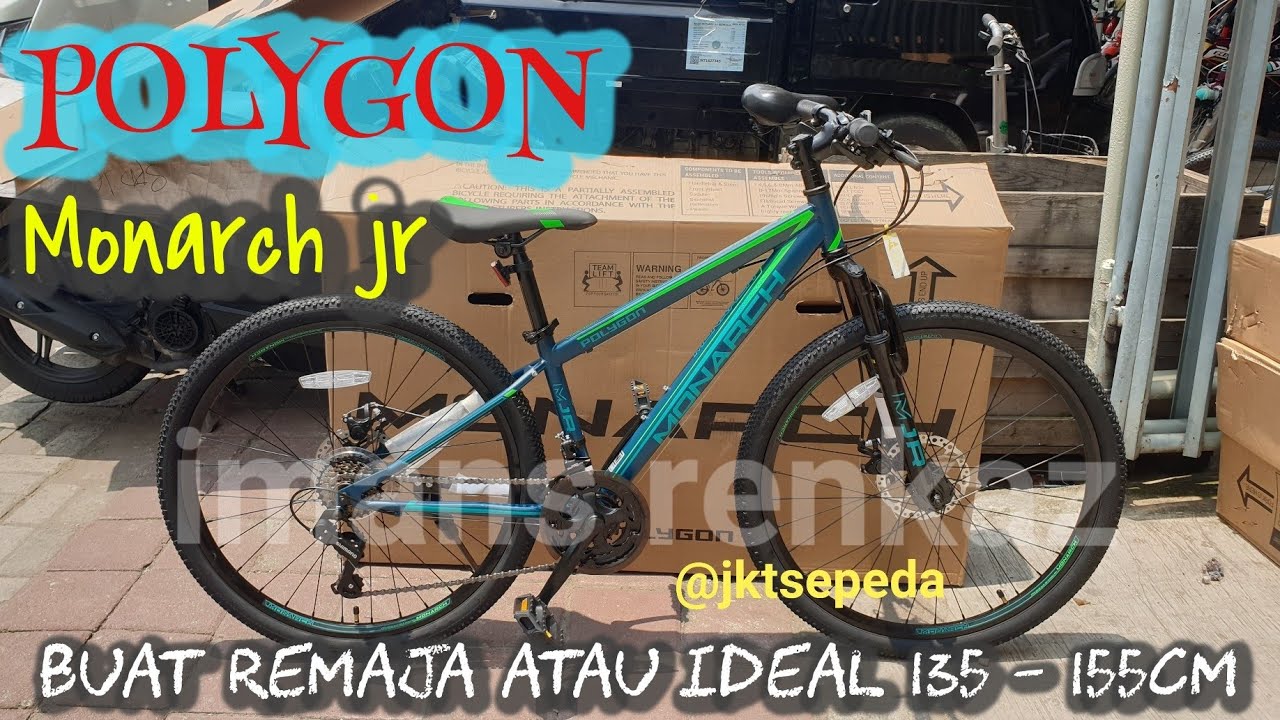 MTB Polygon Monarch jr 2019 | Sepeda buat pemula - YouTube