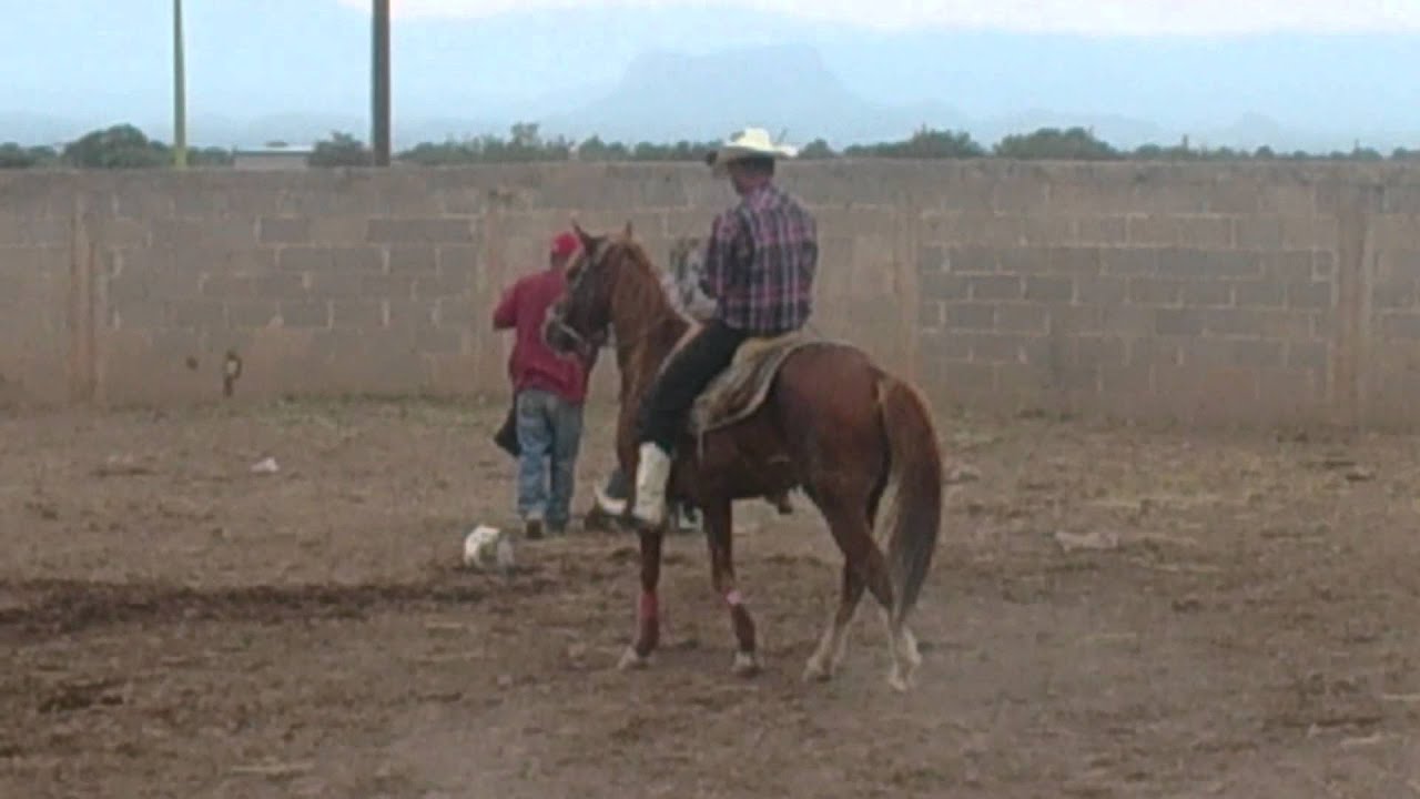 Accidente en Jaripeo PARTE 06/06 YouTube