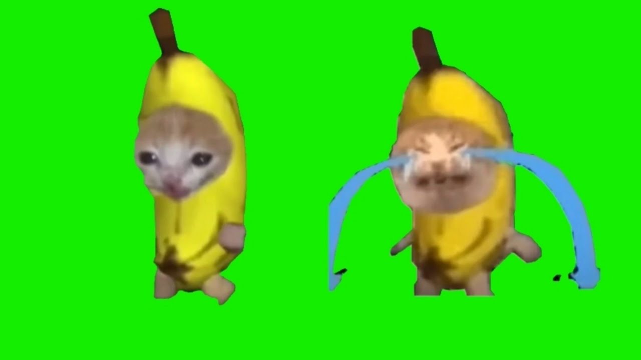 Banana Cat Crying 10 Hours, 51% OFF