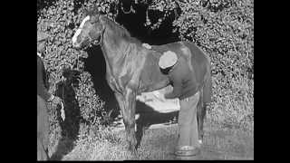 The Meaning of Horsepower (1937)