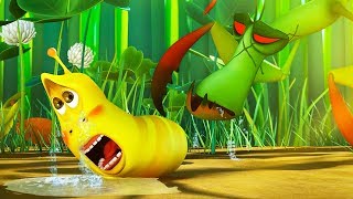 larva baby larva danger cartoon movie cartoons for children larva cartoon larva official