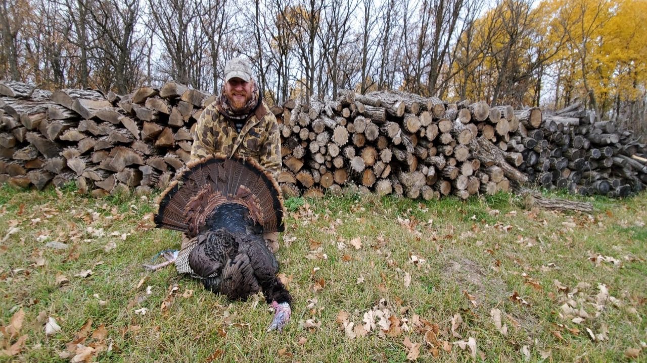 Mn Turkey Season 2024 - Evvy Elizabet