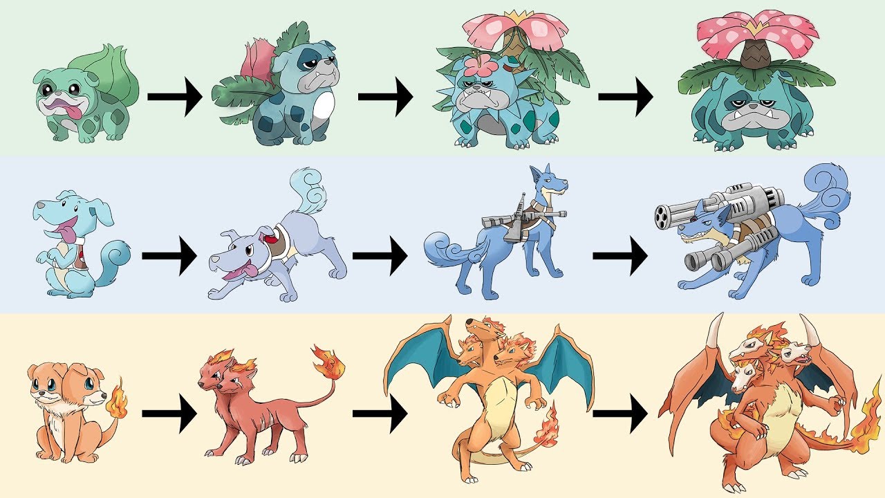 All Gen 1 Starter Evolutions as Dogs | Pokemon Gen 8 Fanart - YouTube