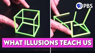 Can Illusions Teach Us How the Mind Works?