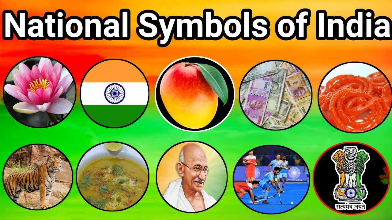 National Symbols of India || National Flag/ Fruit/ Flower/ Bird ...