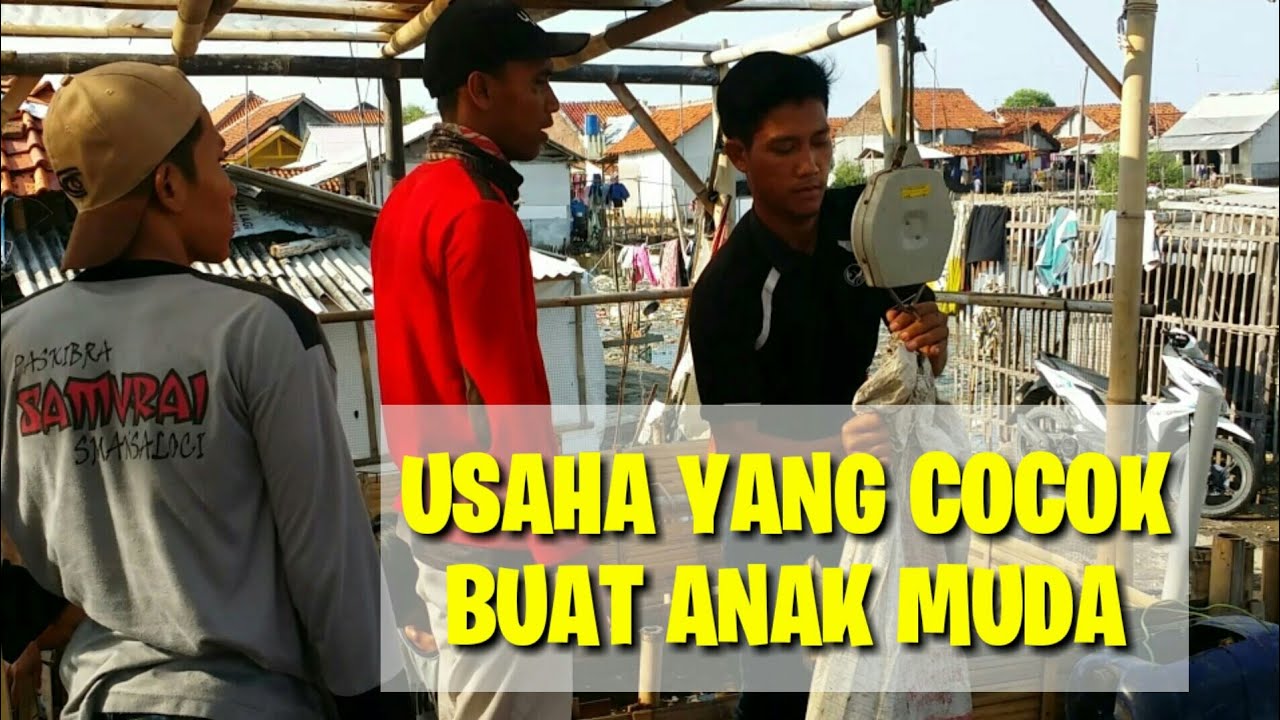  usaha  sampingan 2021 cocok banget buat anak  muda  